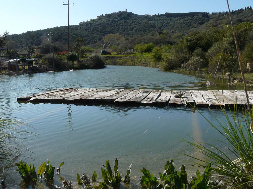 Lago artificiale da naturalizzare in piena Maremma!